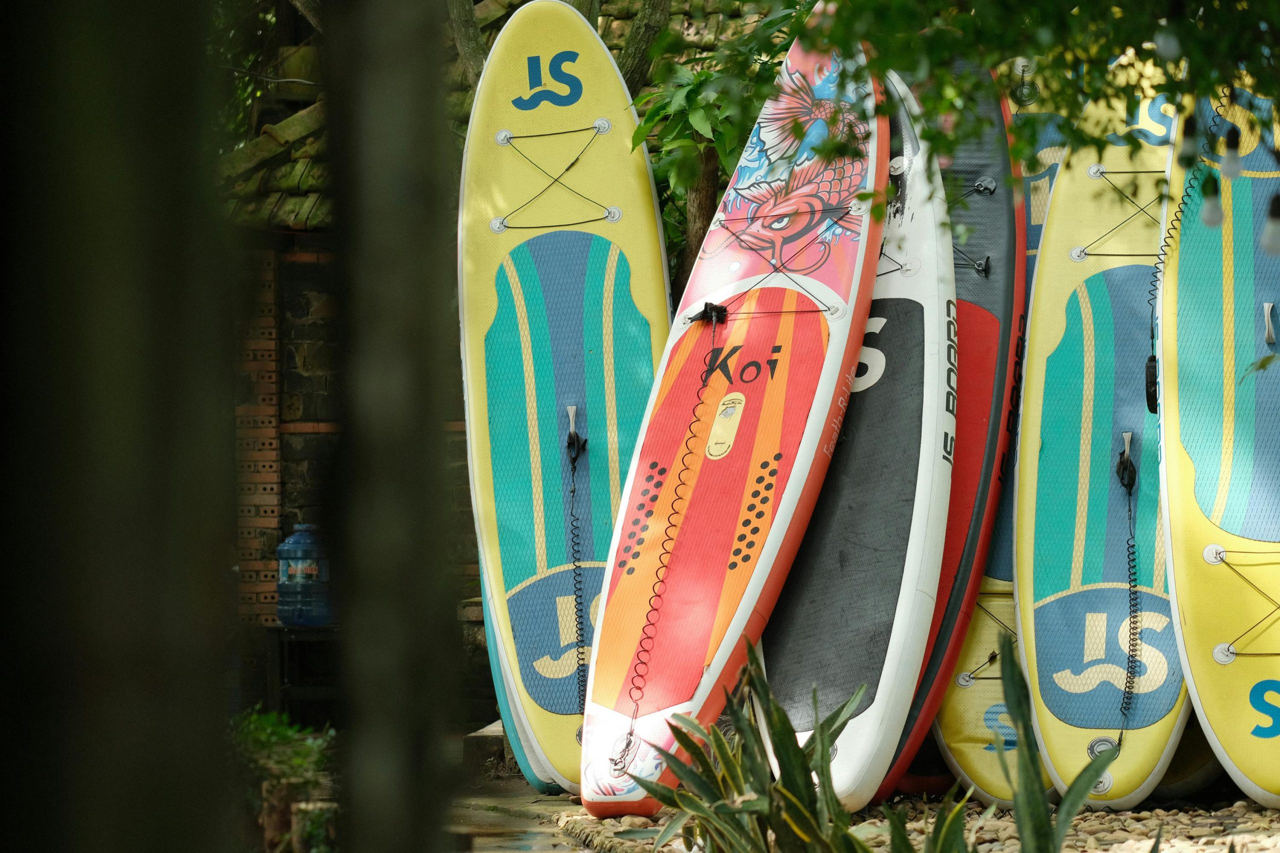 colorful paddleboards